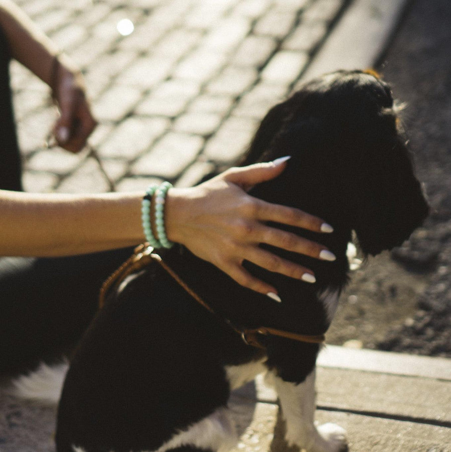 Woman patting a dog wearing green Lokai bracelet - meaningful jewellery - Australian jewellery brand