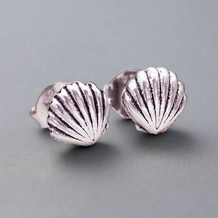 Silver Sea Shell Earrings - womens beachy jewellery by australian jewellery brand