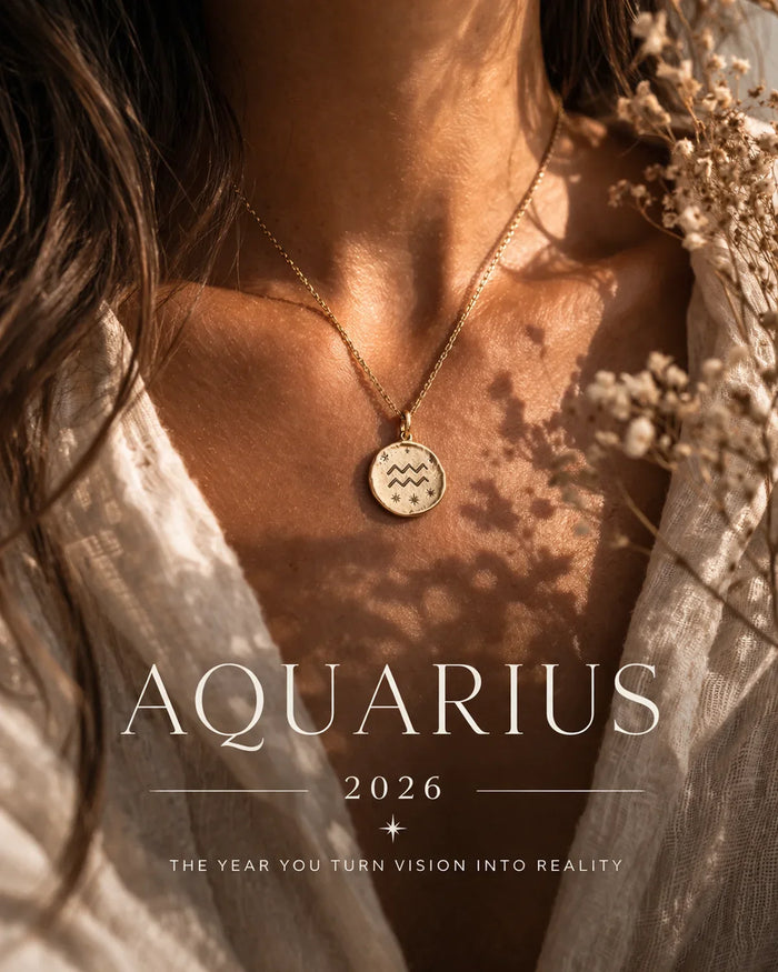 Aquarius 2026 Journal by indie and harper