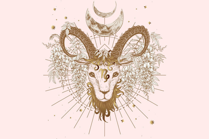 Courageous Capricorn- Indie and Harper