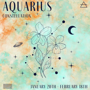 Zodiac Constellations: Focus on Aquarius