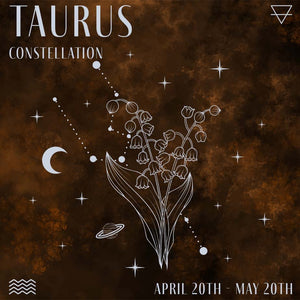Zodiac Constellations: Focus on Taurus