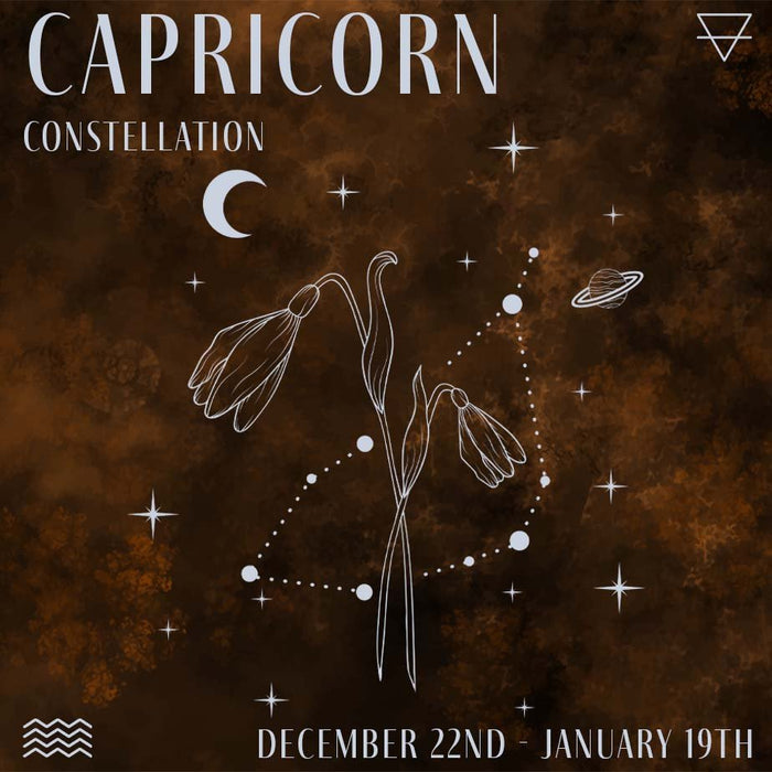 Capricorn Constellation Journal by Indie and Harper