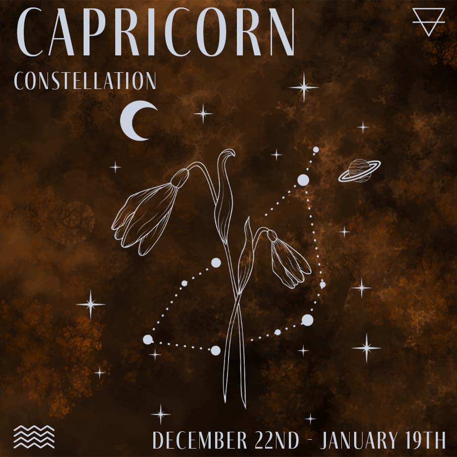 Capricorn Constellation Journal by Indie and Harper