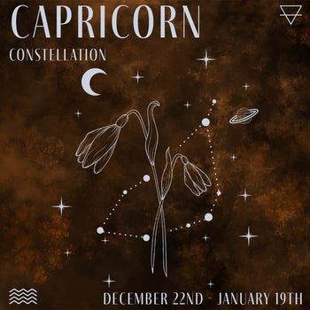 Capricorn Constellation Journal by Indie and Harper