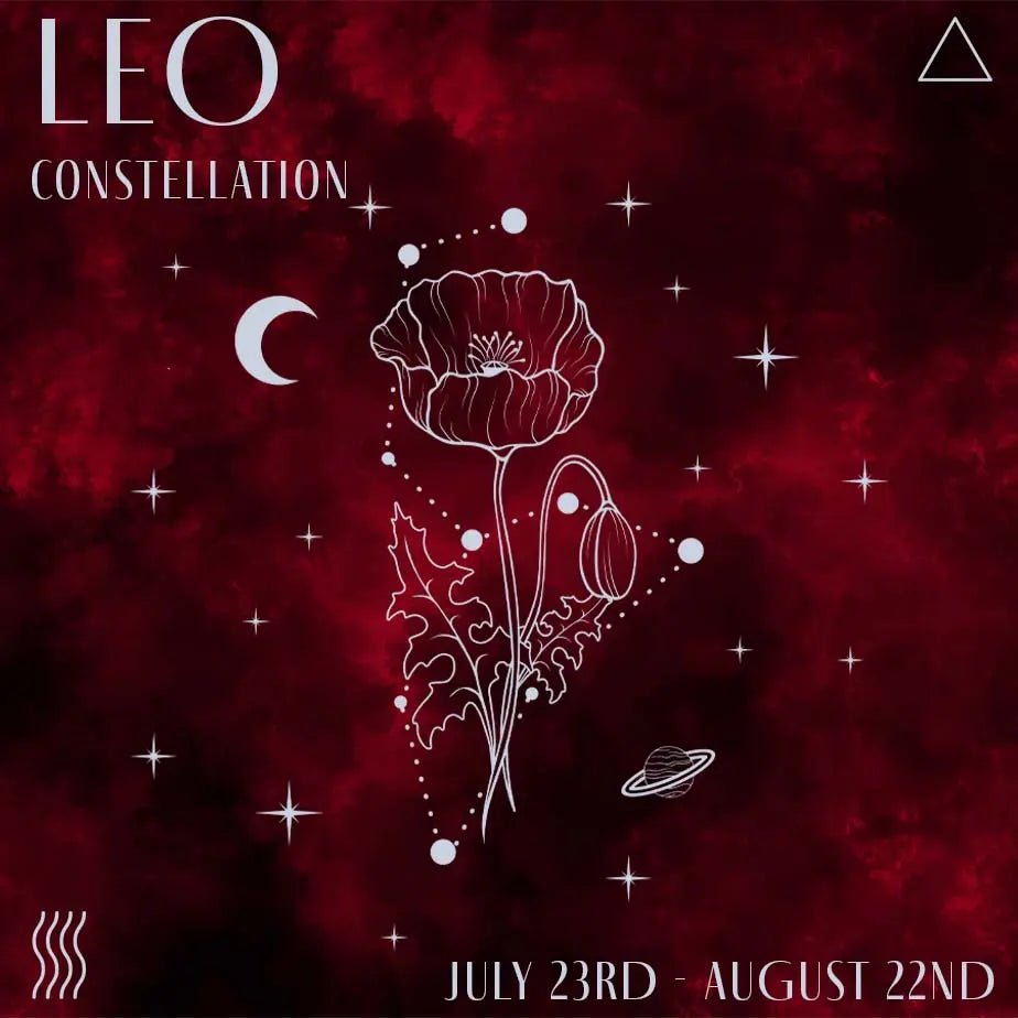 Leo Constellation