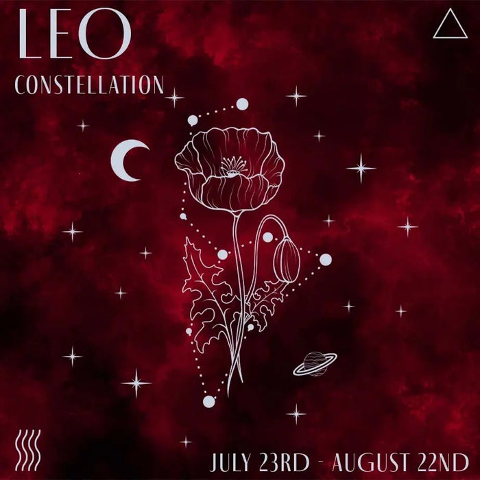Leo Constellation