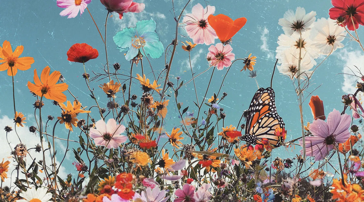 Q&A with our fave Siobhan O'Dwyer - www.indieandharper.com