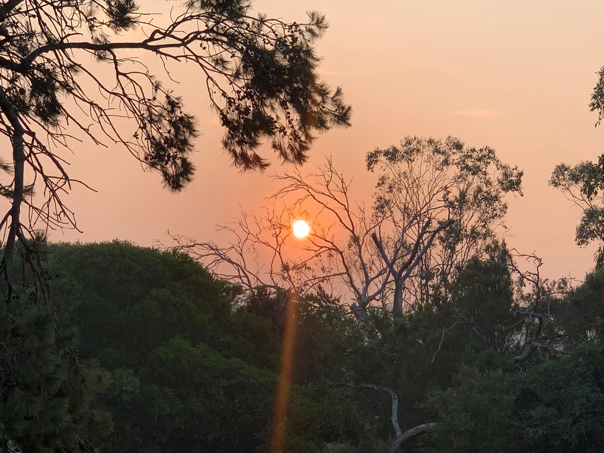 Australia is Burning - How can you help? - www.indieandharper.com