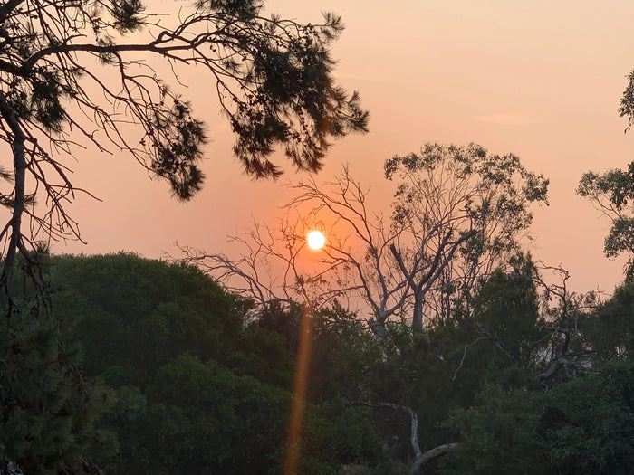 Australia is Burning - How can you help? - www.indieandharper.com