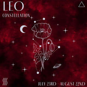 Zodiac Constellations: Focus on Leo