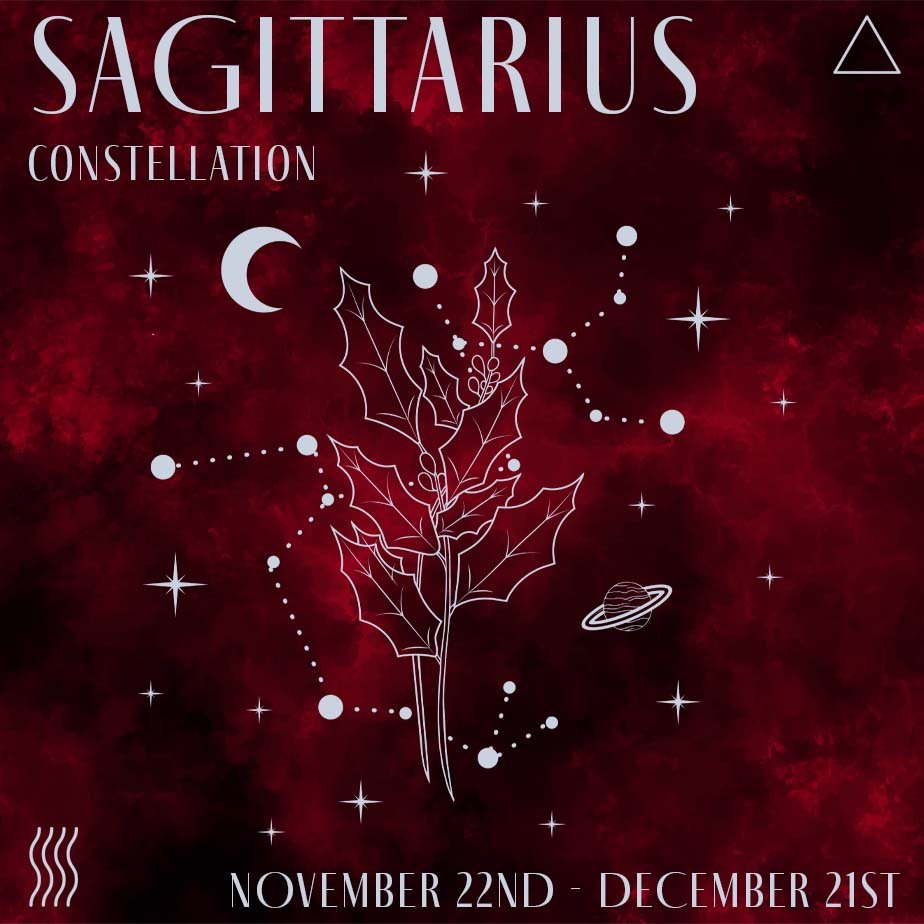 Sagittarius Constellation Journal by Indie and Harper