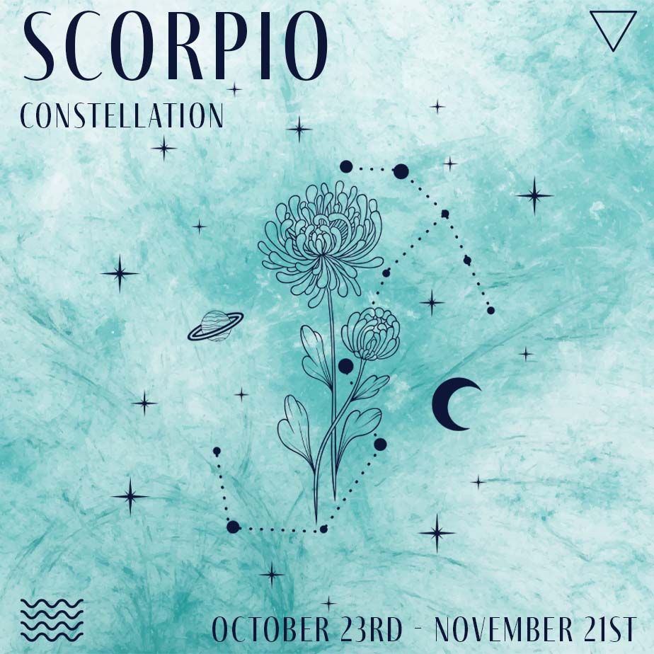 Scorpio Constellation Journal by Indie and Harper