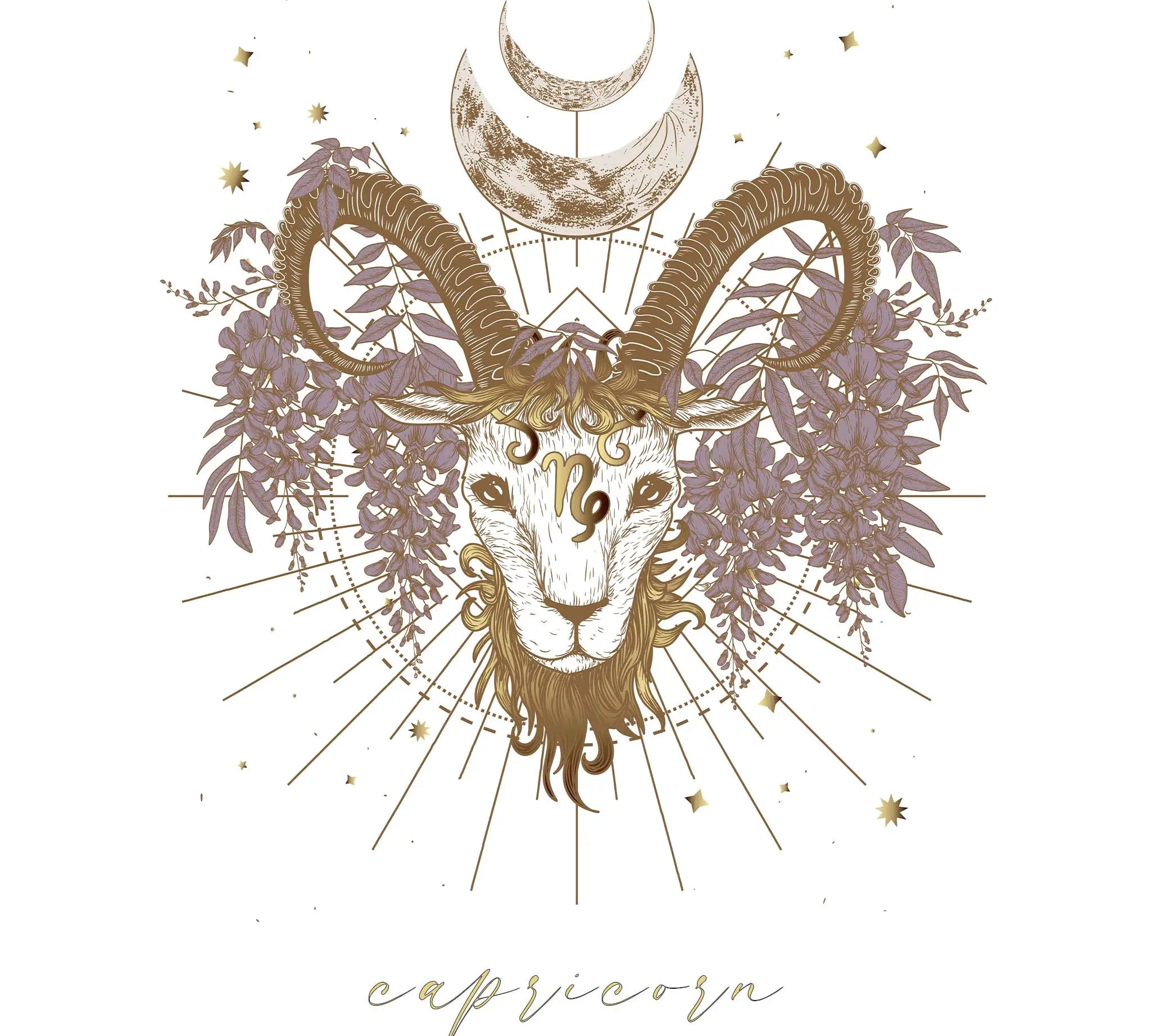 capricorn star sign jewellery - women's zodiac jewellery by online jewellery brand indie and harper