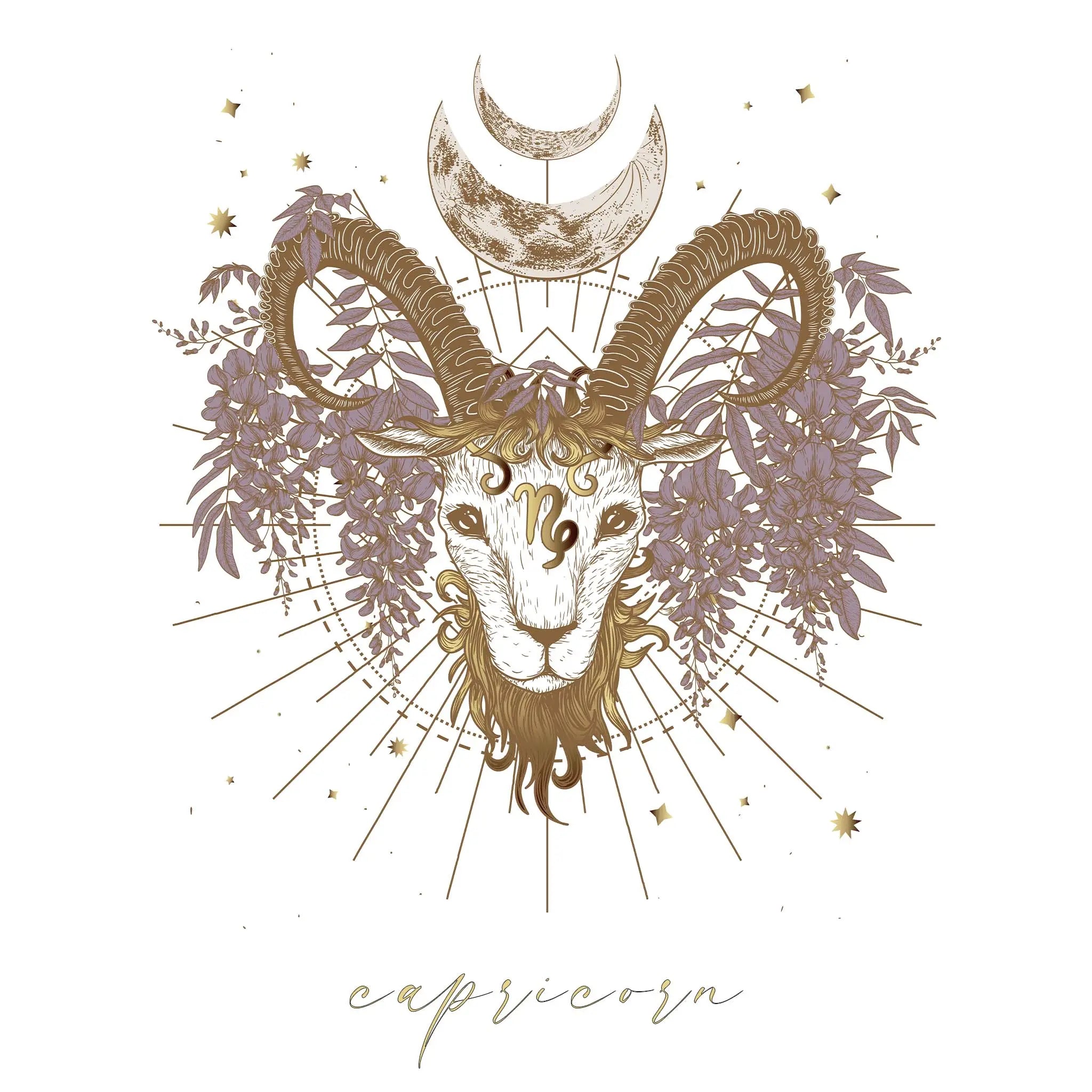 capricorn star sign jewellery - women's zodiac jewellery by online jewellery brand indie and harper