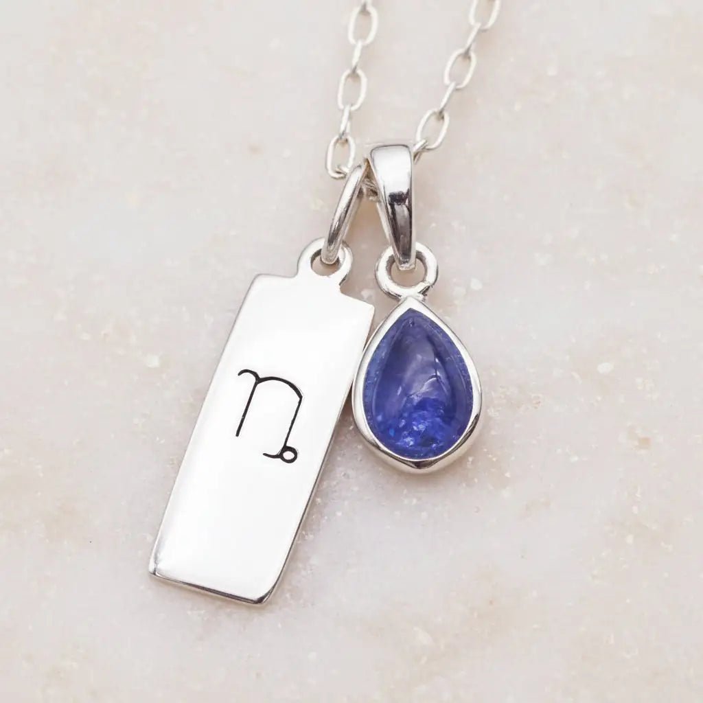 Sterling Silver necklace with Capricorn zodiac pendant and December birthstone tanzanite pendant on a grey background