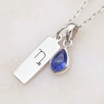 Sterling Silver necklace with a December birthstone tanzanite gemstone and a Capricorn zodiac pendant on a light background.