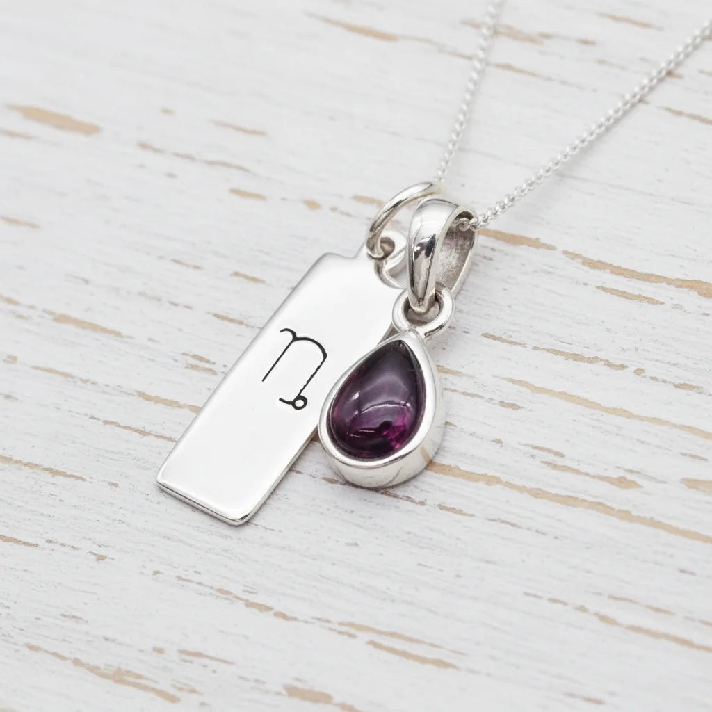 Silver january birthstone necklace with a Capricorn Zodiac pendant and a garnet gemstone pendant - personalised jewellery gift