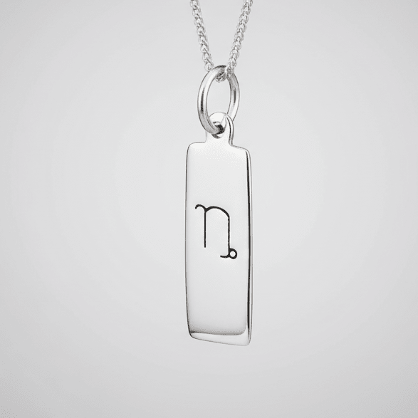Capricorn zodiac necklace in sterling silver against a white background