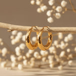 Chunky stainless steel Gold waterproof hoop earrings on a branch with blurred white flowers in the background