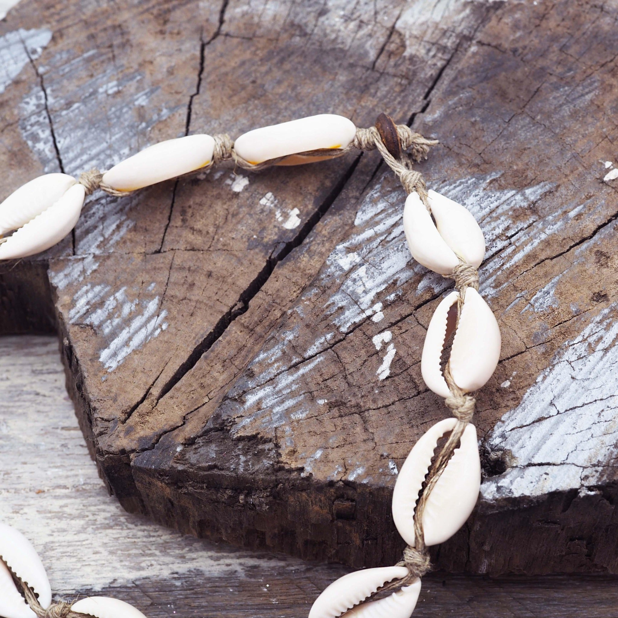 Cowrie Sea Shell Necklace - womens cowrie sea shell jewellery Australia 