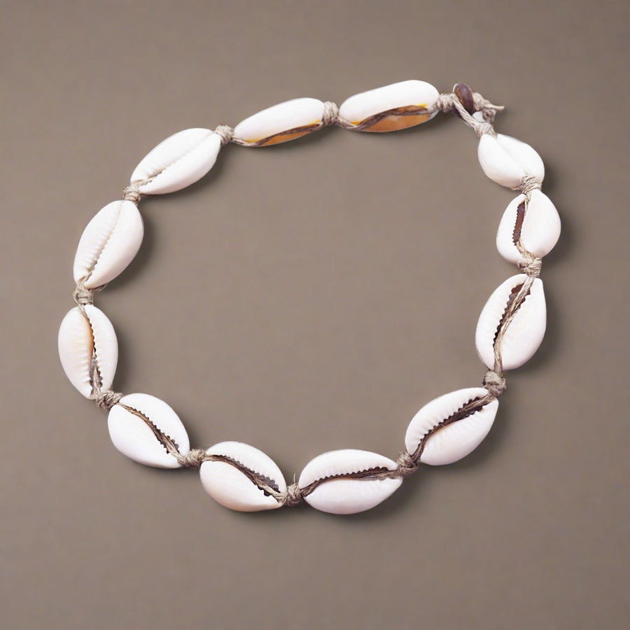 Cowrie Sea Shell Necklace - womens shell jewellery Australia 
