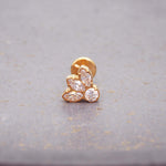 dainty helix flat back earrings made with gold plating over stainless steel and gold plating - womens alternative jewellery by indie and harper