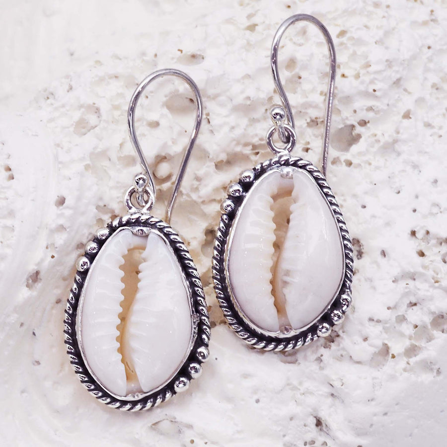 Sterling silver Cowrie sea Shell Earrings - womens cowrie sea shell jewellery Australia 