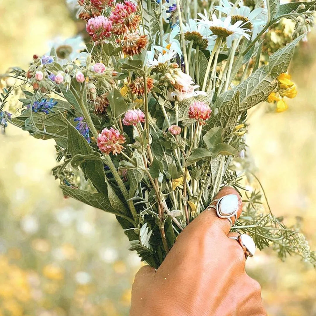 Hand holding a bouquet of wildflowers with a blurred natural background