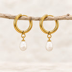 Freshwater pearl hoop earrings in gold PVD-plated stainless steel, pair hanging from a slender wooden branch