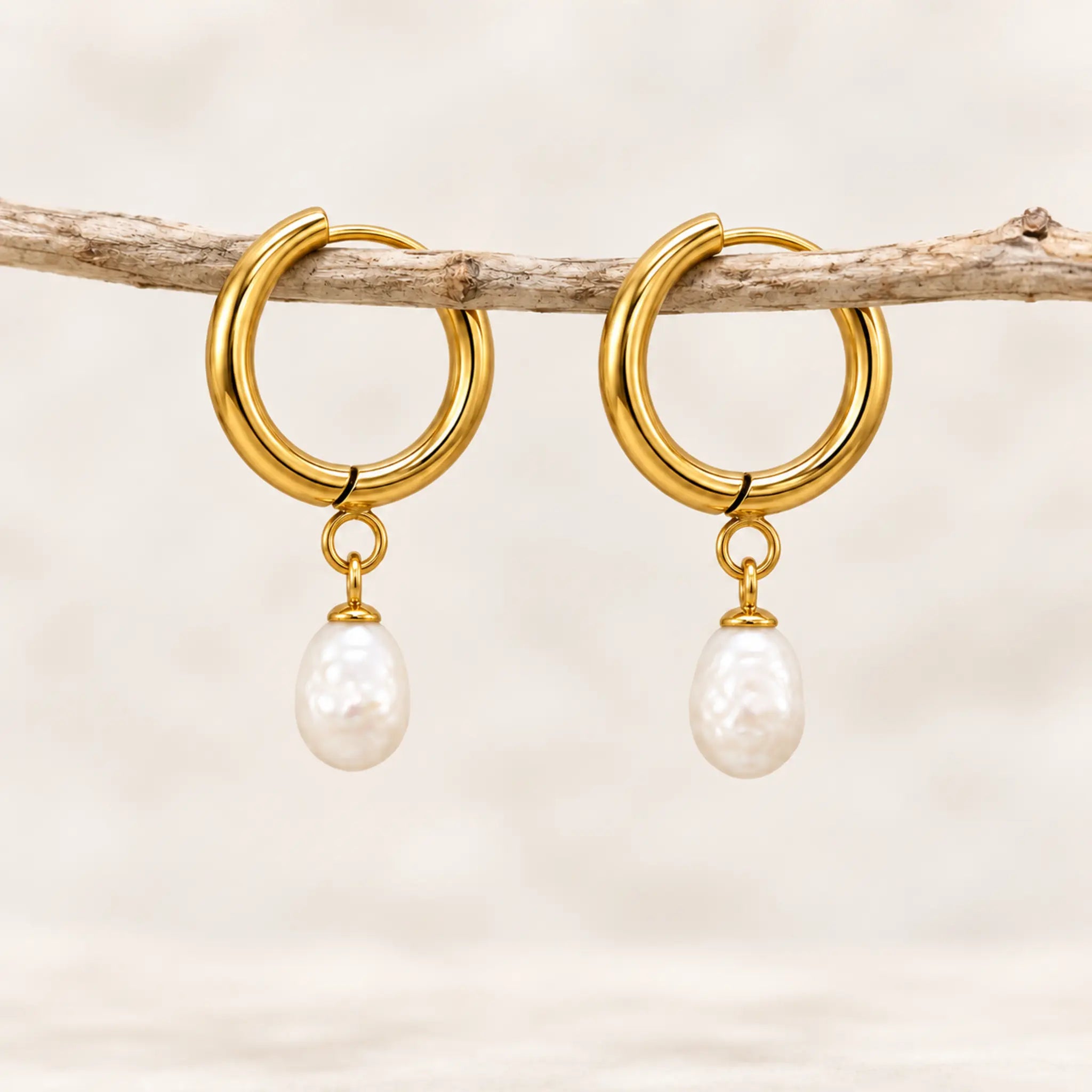 Freshwater pearl hoop earrings in gold PVD-plated stainless steel, pair hanging from a slender wooden branch