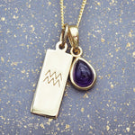 Gold Zodiac Aquarius and february Birthstone amethyst Necklace - indie and harper australia