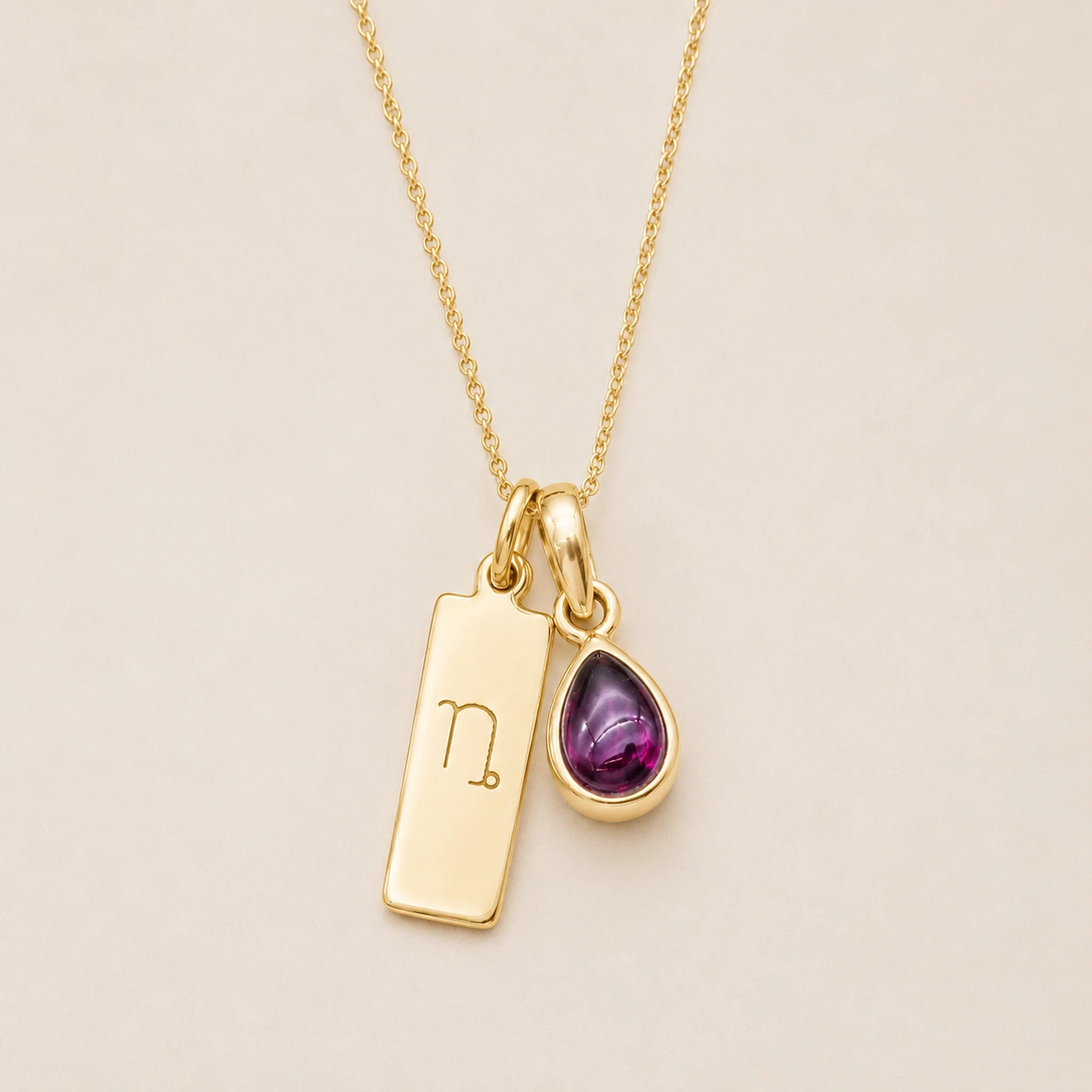 gold necklace with a teardrop-shaped january birthstone natural garnet gemstone pendant and a rectangle pendant with capricorn line glyph on a light background