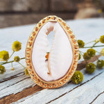 gold cowrie sea shell ring on a piece of rustic wood by indie and harper australia