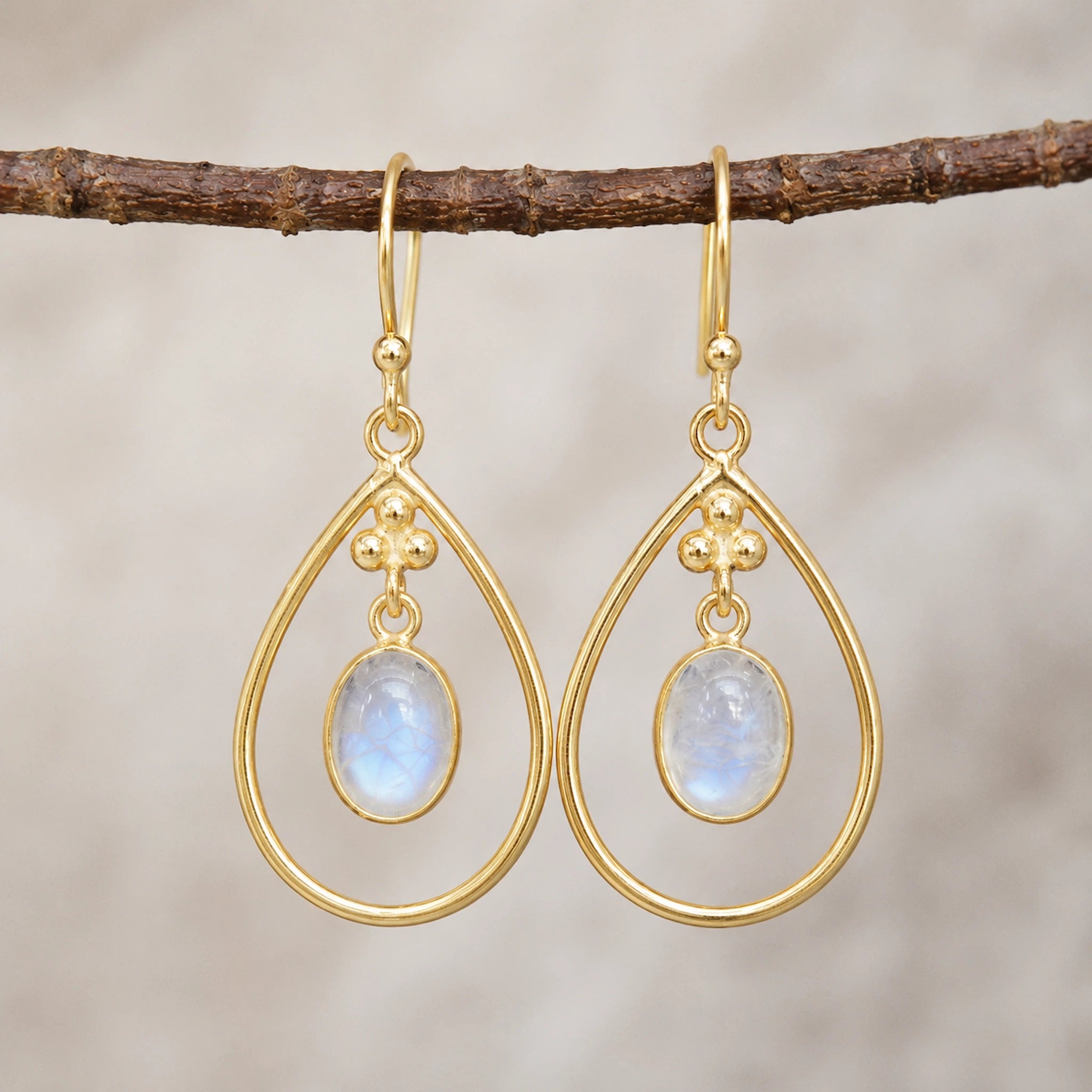 gold french hook earrings with bezel set natural cabochon moonstones hanging from a branch