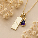 Gold Necklace with teardrop February Birthstone Natural Amethyst pendant and a rectangle pendant wth Pisces line glyph on a light background.