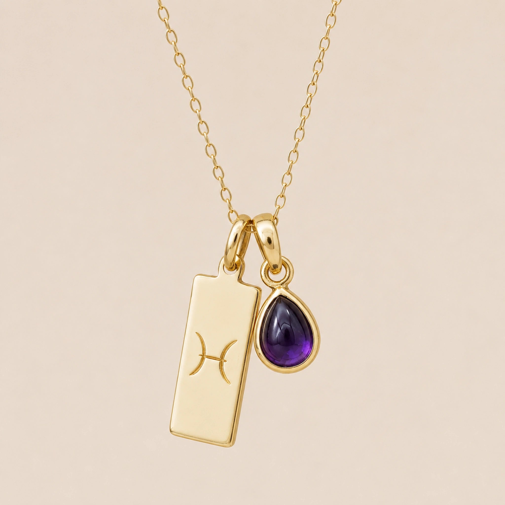 Gold Necklace with teardrop February Birthstone Natural Amethyst pendant and a rectangle pendant wth Pisces line glyph hanging on a light background.