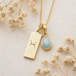 Gold Necklace with teardrop March Birthstone Natural Aquamarine pendant and a rectangle pendant wth Pisces line glyph on a light background.