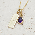 Gold February Birthstone Necklace with a pear-shaped natural Amethyst gemstone pendant and Pisces Zodiac pendant