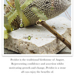 indie and harper august birthstone peridot jewellery - silver peridot necklace, rose gold ring, silver ring and rose gold necklace