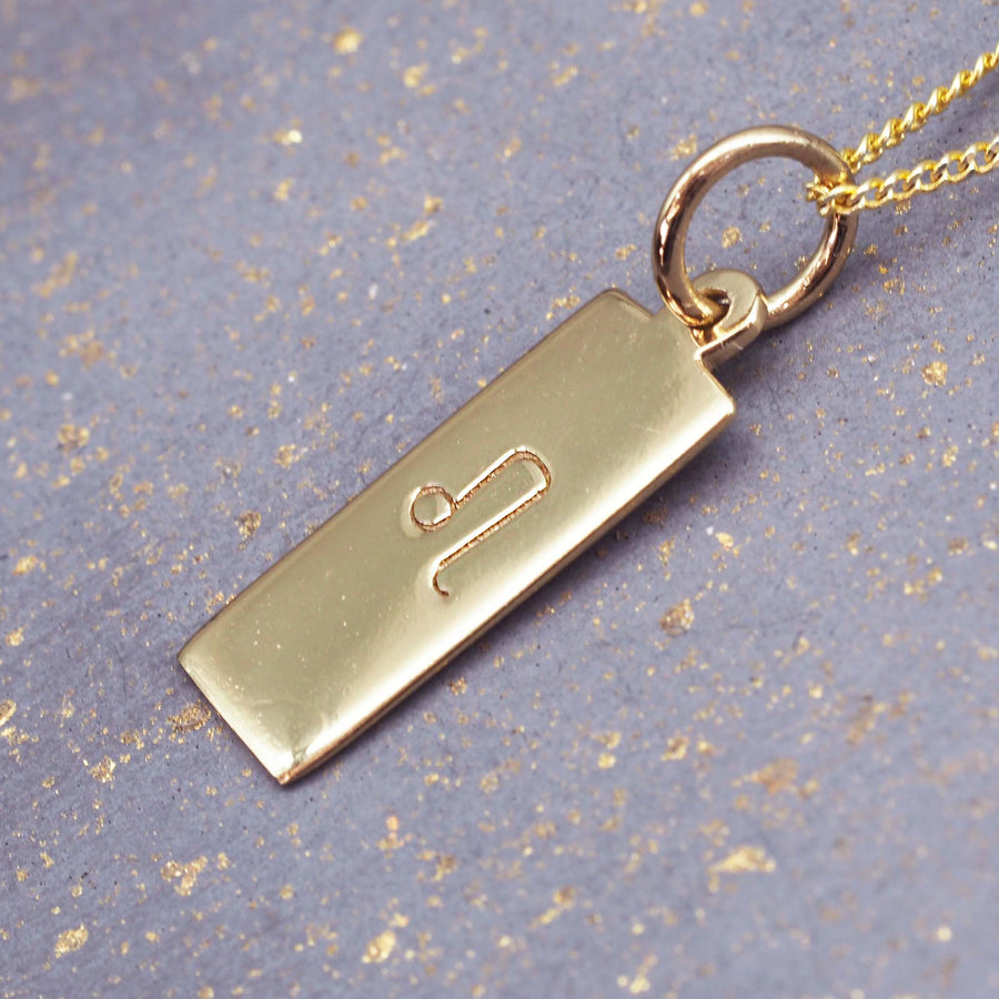 leo pendant necklace - the zodiac pendant from july 23 - august 22nd - shop zodiac jewellery online with indie and harper