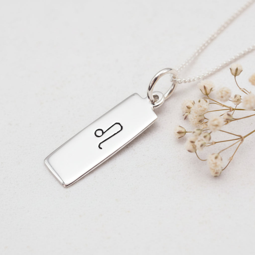 sterling silver leo zodiac necklace on a white background with dried babys breath