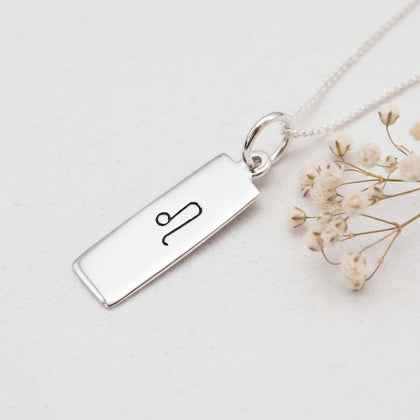 sterling silver leo zodiac necklace on a white background with dried babys breath