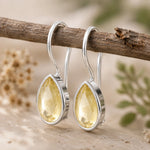 Sterling silver natural citrine teardrop hook earrings hanging from a branch
