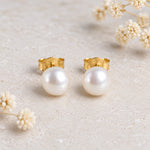 Gold plated freshwater pearl earrings, a pair of 7 mm pearl studs on a stone background with dried flowers