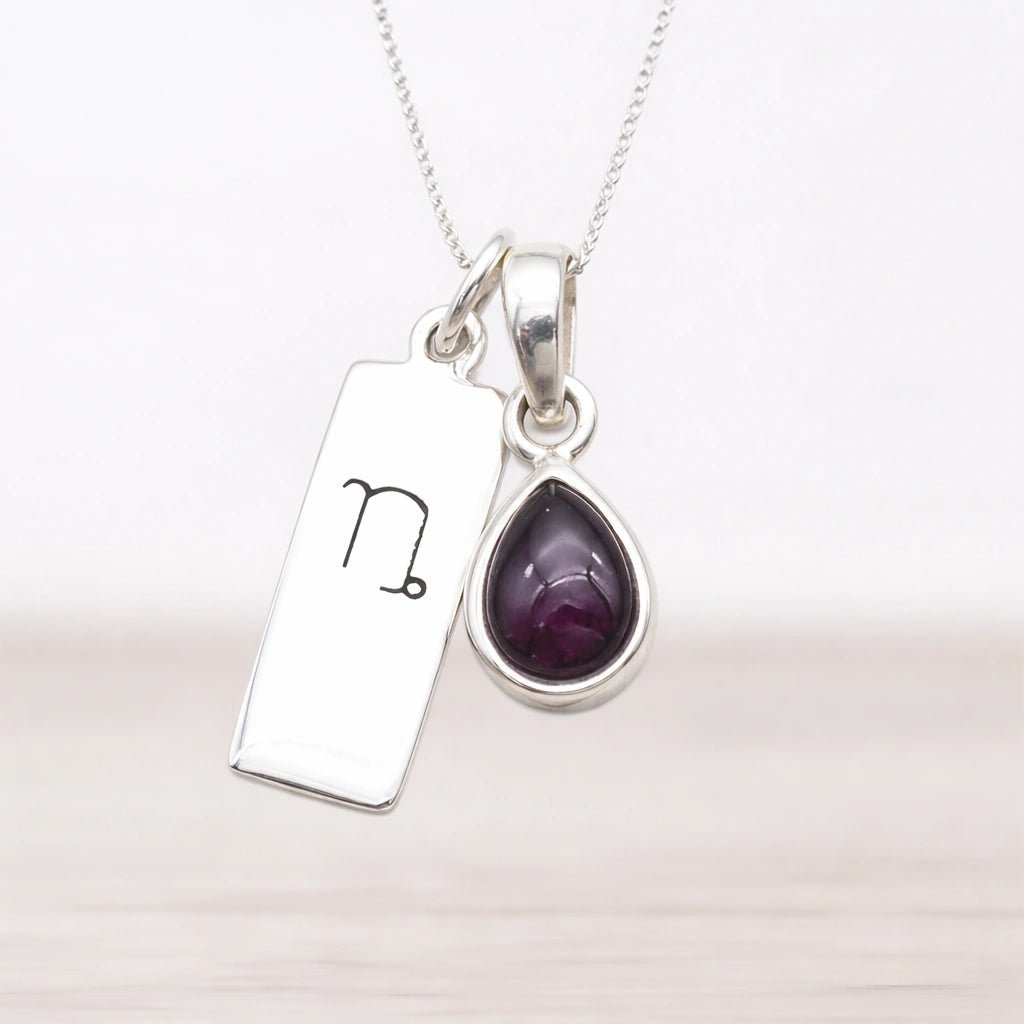 Silver necklace with a teardrop-shaped garnet gemstone pendant and a rectangular tag with a Capricorn zodiac symbol on a white background.