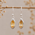 Silver french hook earrings with yellow marquise citrine gemstones hanging on a branch against a neutral background