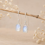 sterling silver french hook, faceted and bezel-set natural moonstone earrings hanging from a branch
