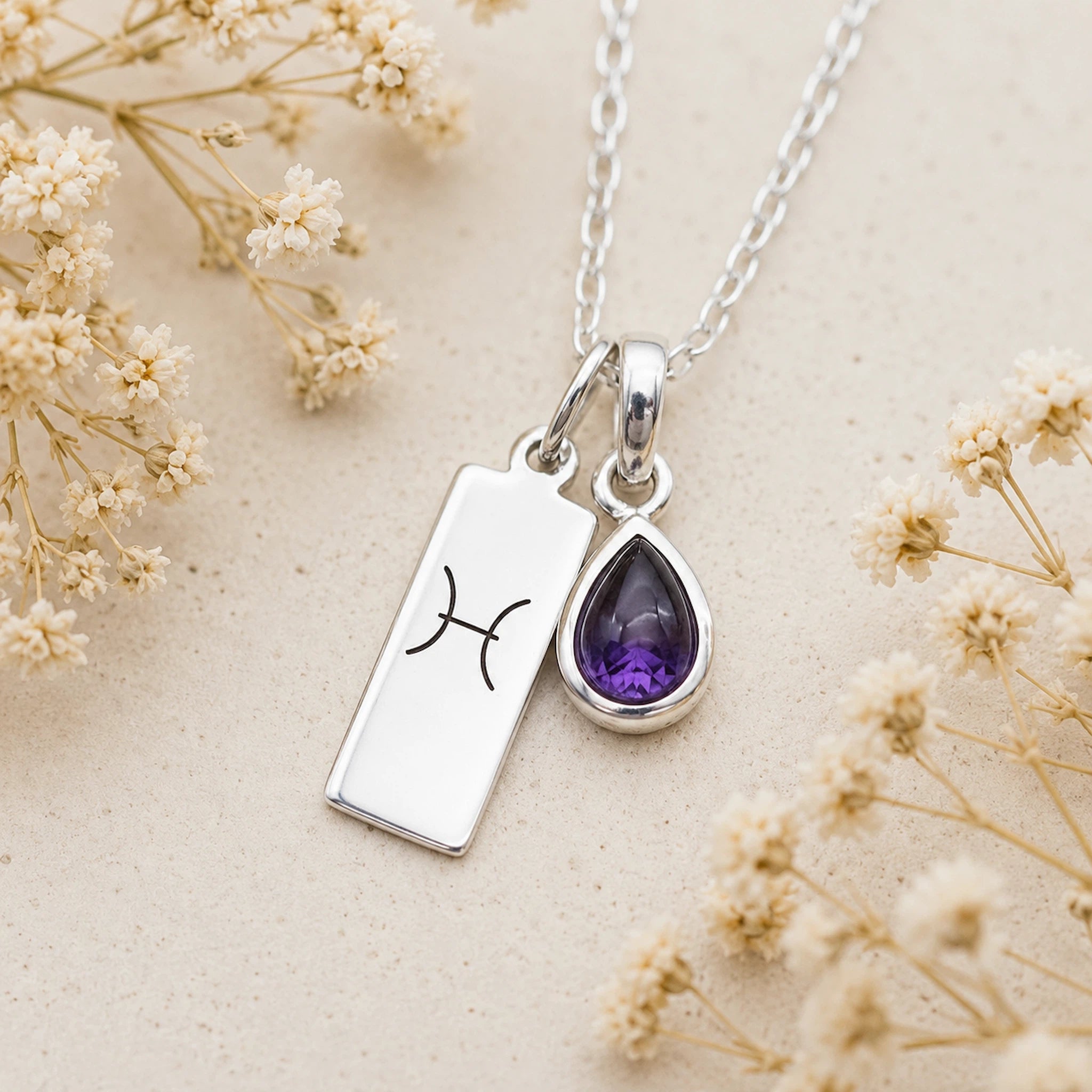 Sterling Silver Necklace with teardrop February Birthstone Natural Amethyst pendant and a rectangle pendant wth Pisces line glyph on a light background.
