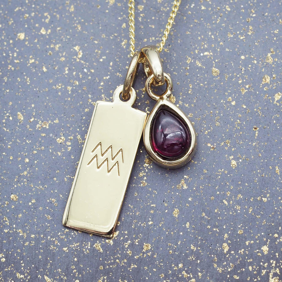 Zodiac Aquarius and Garnet Necklace Bundle - womens jewellery by indie and harper
